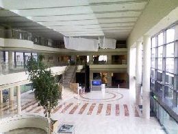 c0133096_2002055.jpg