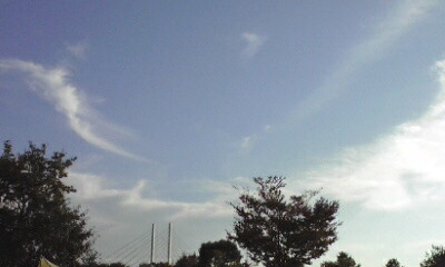 f0101100_1657654.jpg
