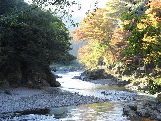 f0180200_20375887.jpg