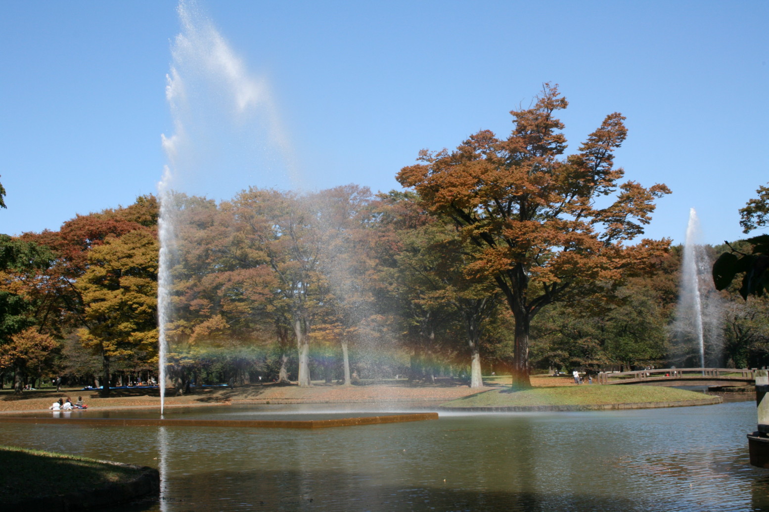 d0070702_1416594.jpg