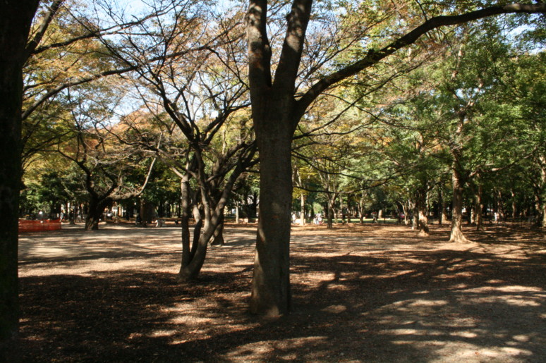 d0070702_1472143.jpg
