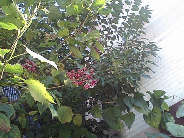 d0054704_2153550.jpg