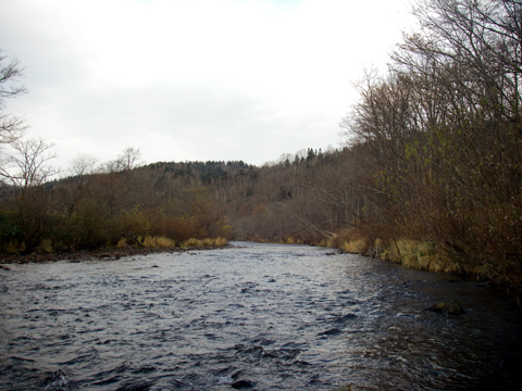 d0051707_11243735.jpg