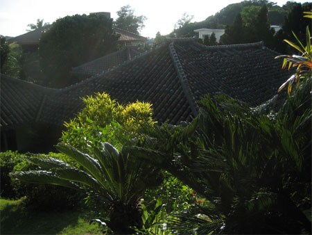 c0114110_2263949.jpg