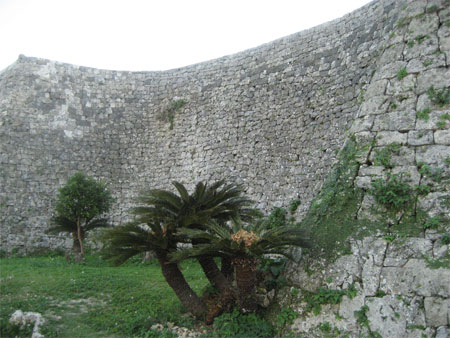c0114110_228359.jpg