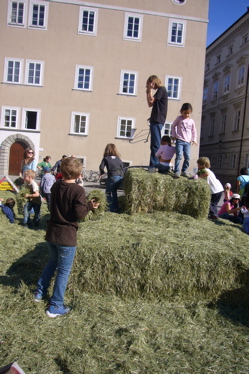 c0167813_114350.jpg
