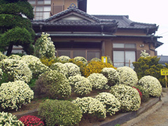 a0022216_22422979.jpg