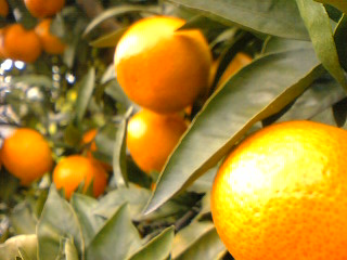 d0024220_23103942.jpg
