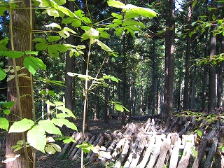 e0002820_22434069.jpg