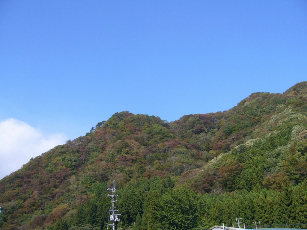 f0135021_2203596.jpg