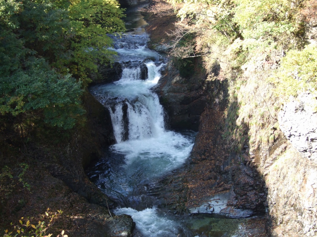 f0135021_2255219.jpg