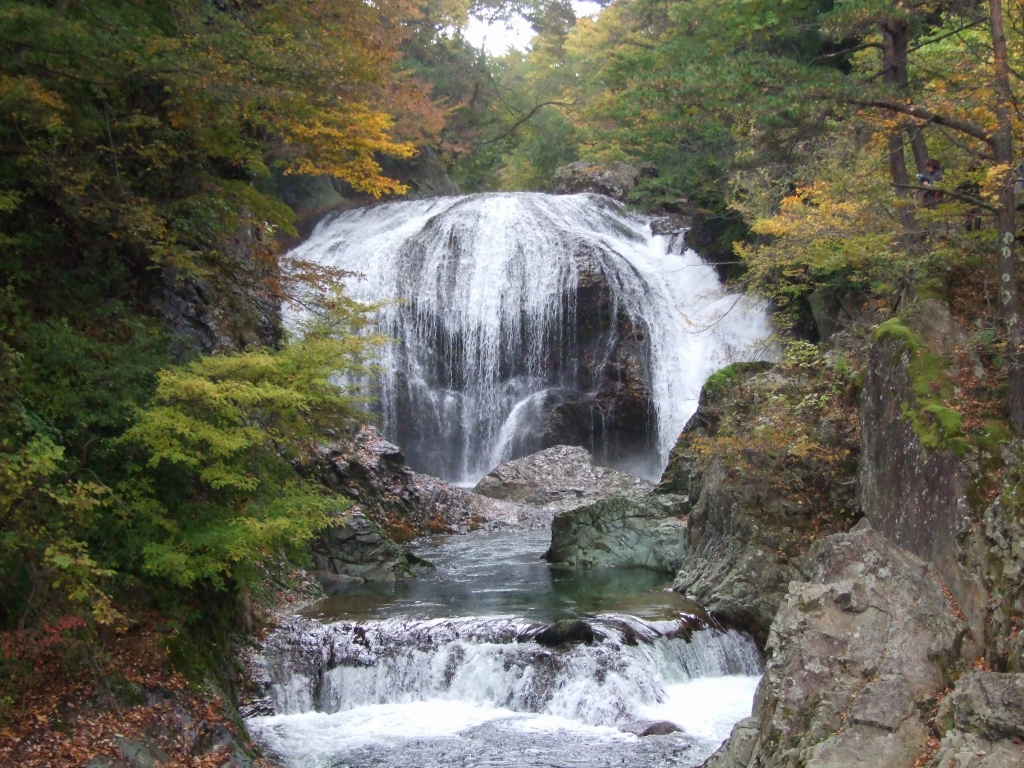 f0135021_2355158.jpg