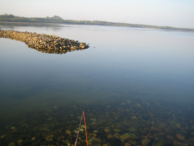 e0063923_15332466.jpg