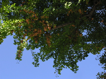 f0128723_2494233.jpg