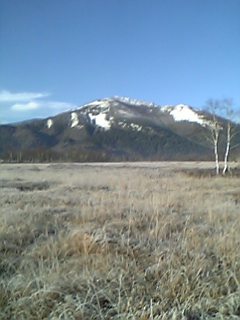 b0062024_10352063.jpg