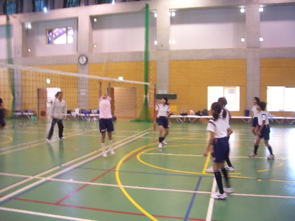 d0138226_16265878.jpg