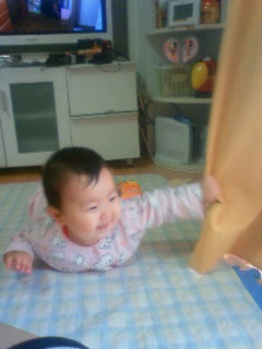 e0036931_021563.jpg