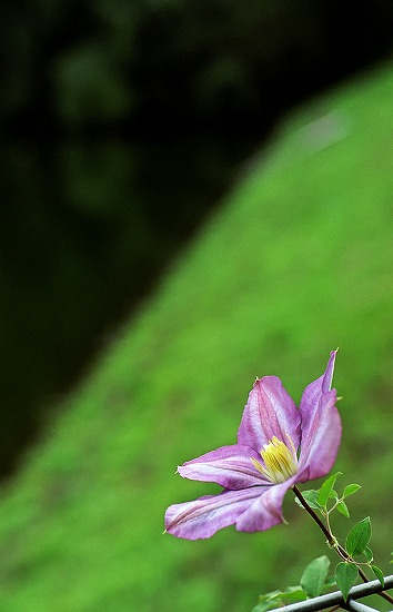 d0001533_23391821.jpg