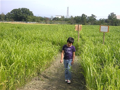 f0138934_18251460.jpg