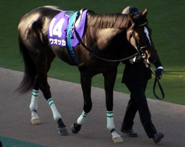 a0009035_19132174.jpg