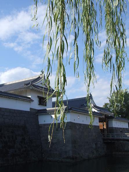 b0089338_071563.jpg