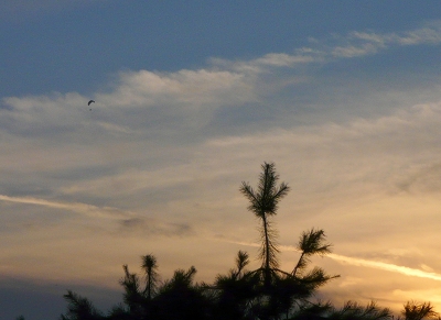 d0036742_16571081.jpg