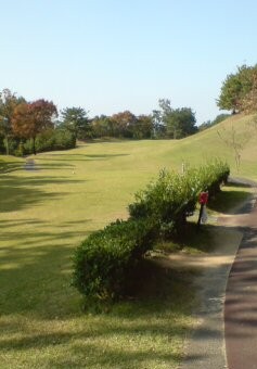 e0116542_1561119.jpg