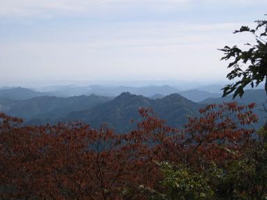 f0005043_20351662.jpg