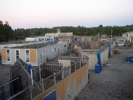 a0044046_22453474.jpg