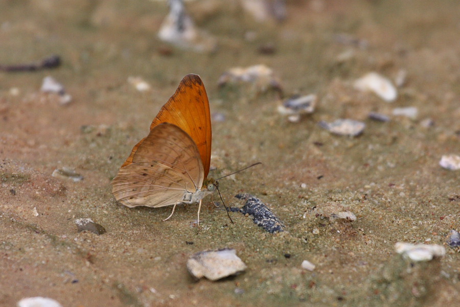 a0094850_1844117.jpg