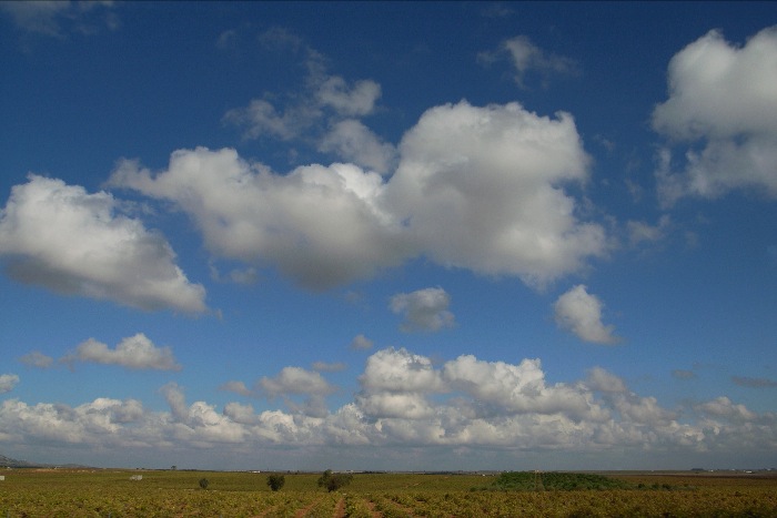 e0100152_19112230.jpg