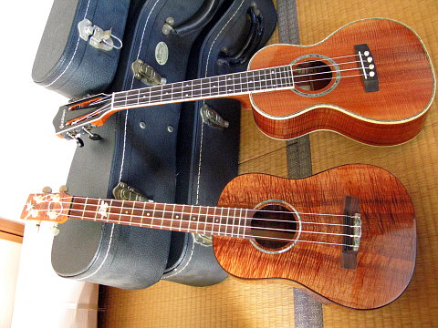 e0050753_748060.jpg