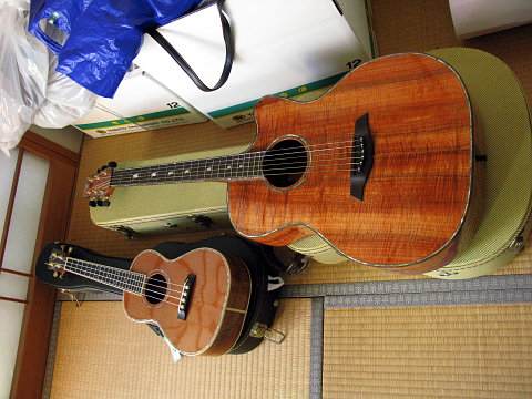 e0050753_748226.jpg