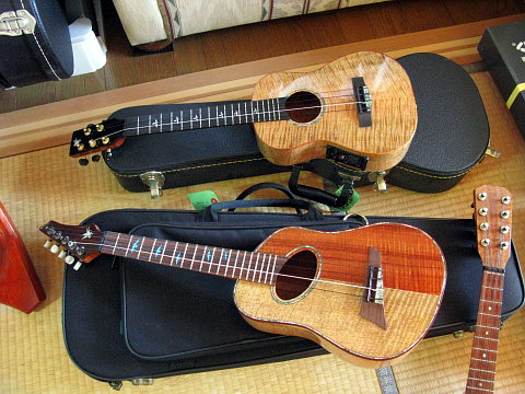 e0050753_7484613.jpg