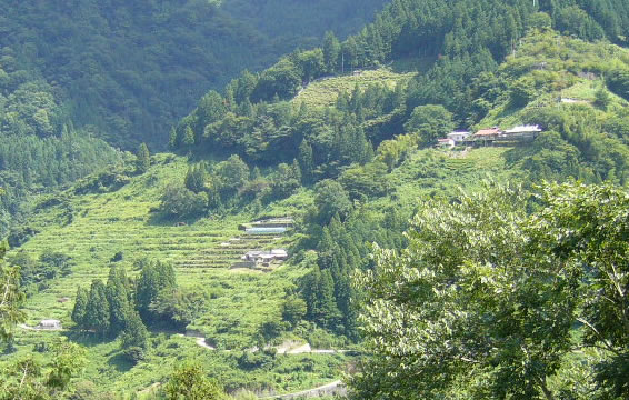 f0067354_12143395.jpg