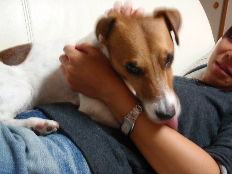 d0143957_2010810.jpg
