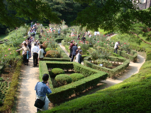 b0061261_16571897.jpg