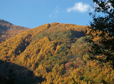 c0032567_21474281.jpg