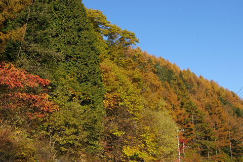 c0032567_21513129.jpg