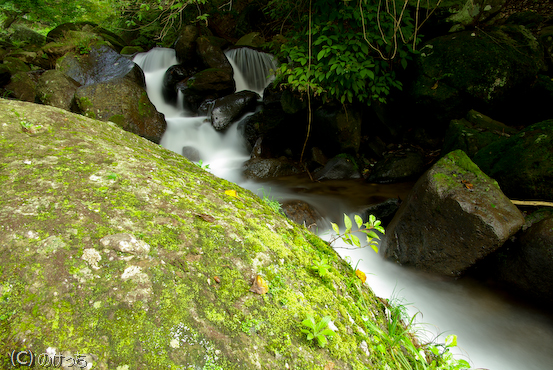 b0136768_20205699.jpg