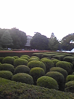 f0016868_2329127.jpg