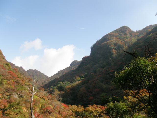 c0042869_8193821.jpg