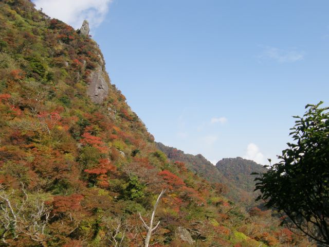 c0042869_8195962.jpg