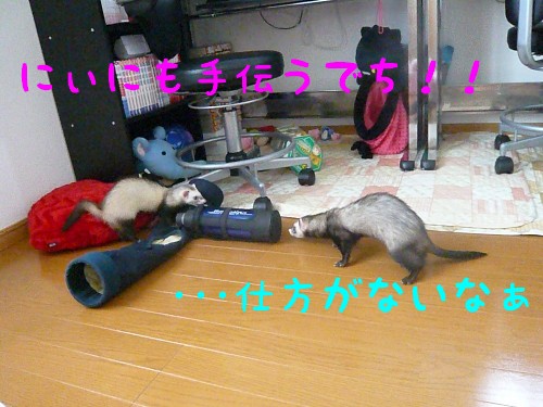 c0165472_2332688.jpg