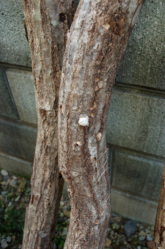 d0148073_15281145.jpg