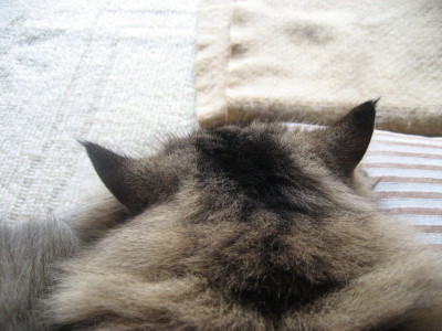 f0183274_20281151.jpg