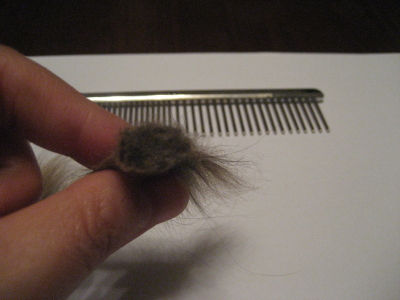f0183274_2035284.jpg