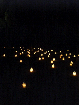 f0054677_914259.jpg