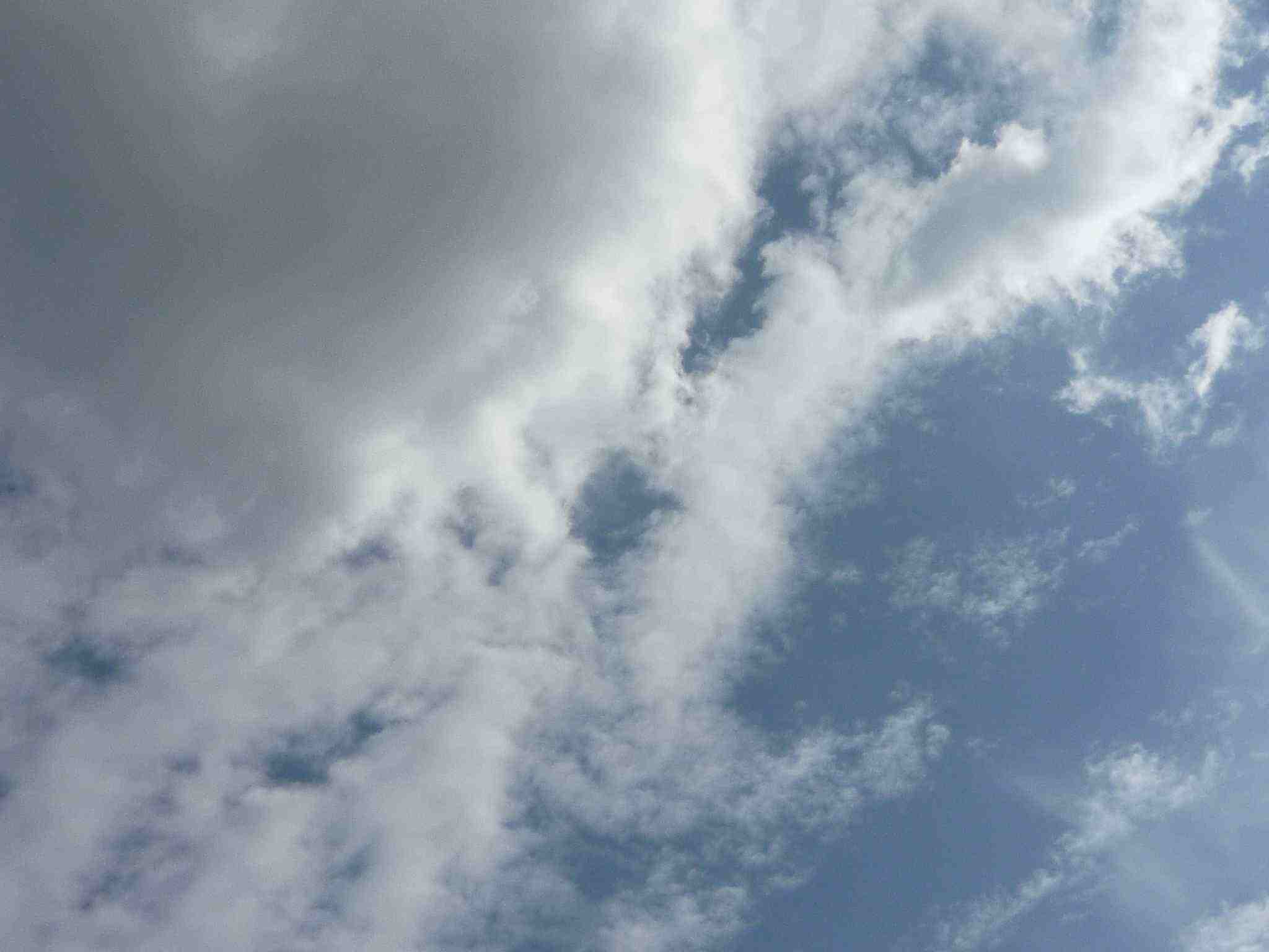 f0190781_1126217.jpg