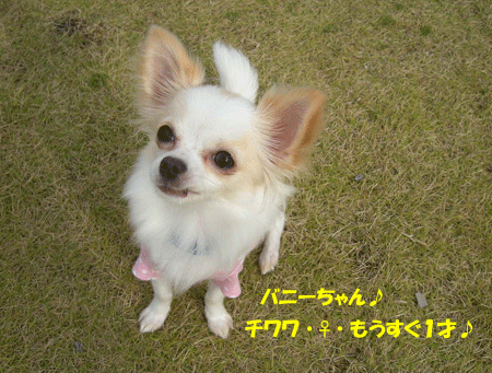 e0066883_2111381.gif